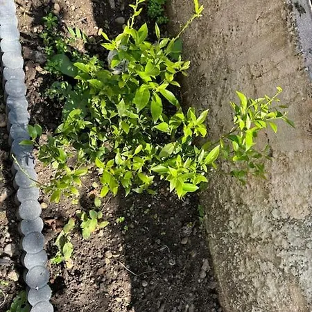 Charmant Cocon Familiale Avec Cheminee Et Jardin 펜션 *